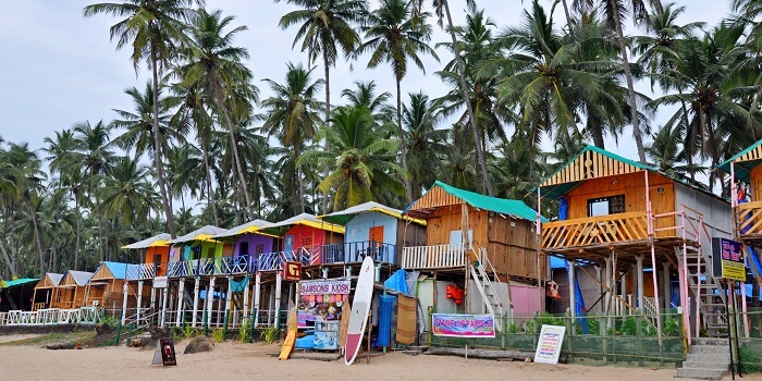 South India LTC Tour