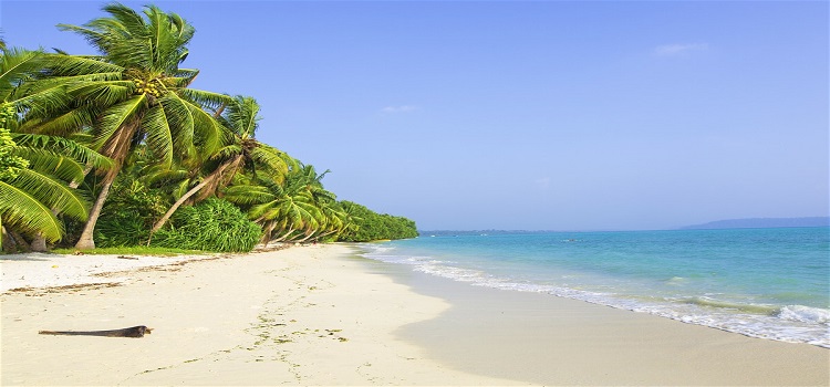 Andaman LTC Family Tour 05 Nights /06 Days