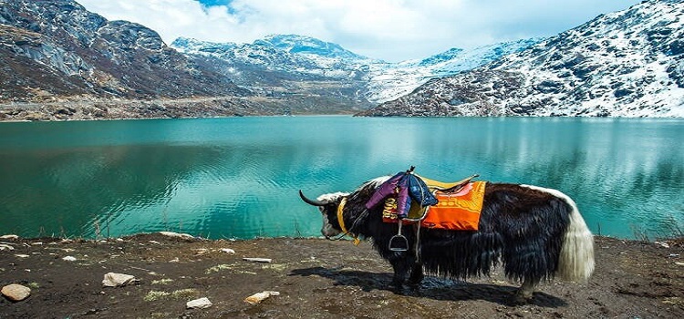 2 Nights Darjeeling with Kalimpong Excursion & 3 Nights Gangtok
