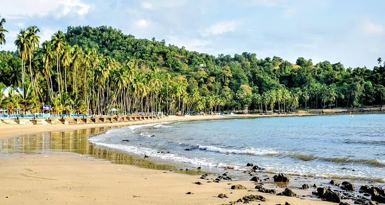 Andaman LTC PACKAGE