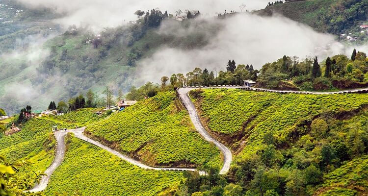 Darjeeling with Kalimpong Excursion
