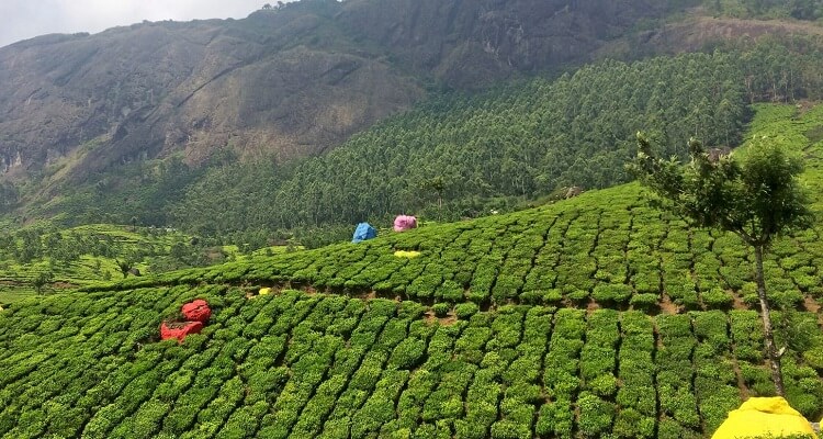 Darjeeling, Gangtok with Namchi Excursion