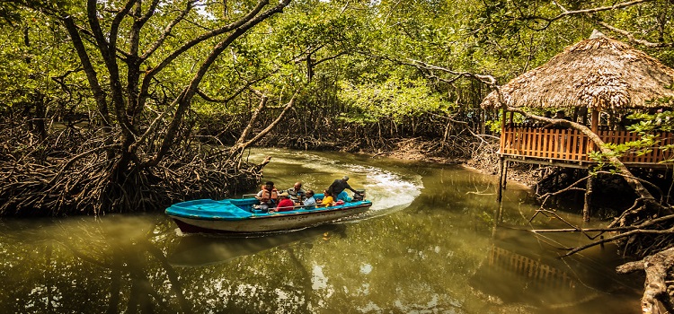 ANDAMAN LTC PACKAGE WITH BARTANG